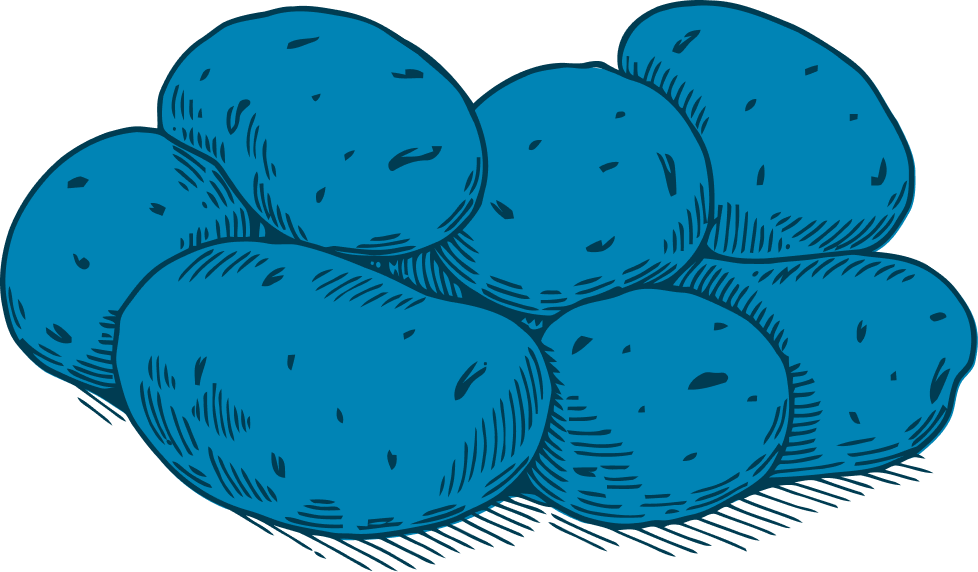 blå potatis