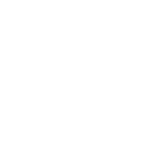 Logotyp - Finansinspektion
